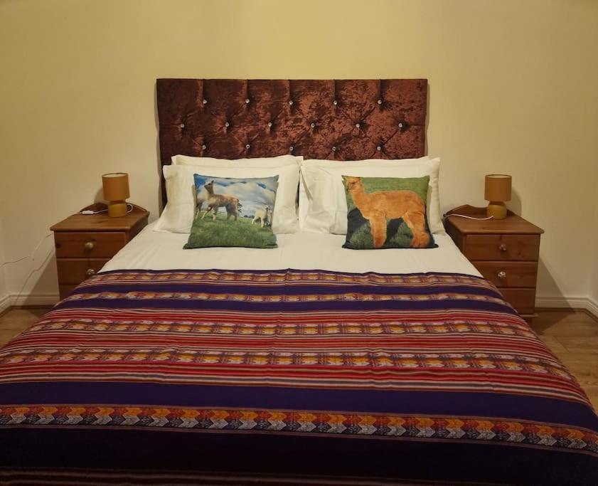 The Alpaca Farmhouse With Hot Tub And Alpaca Experience Included Dromara Екстериор снимка