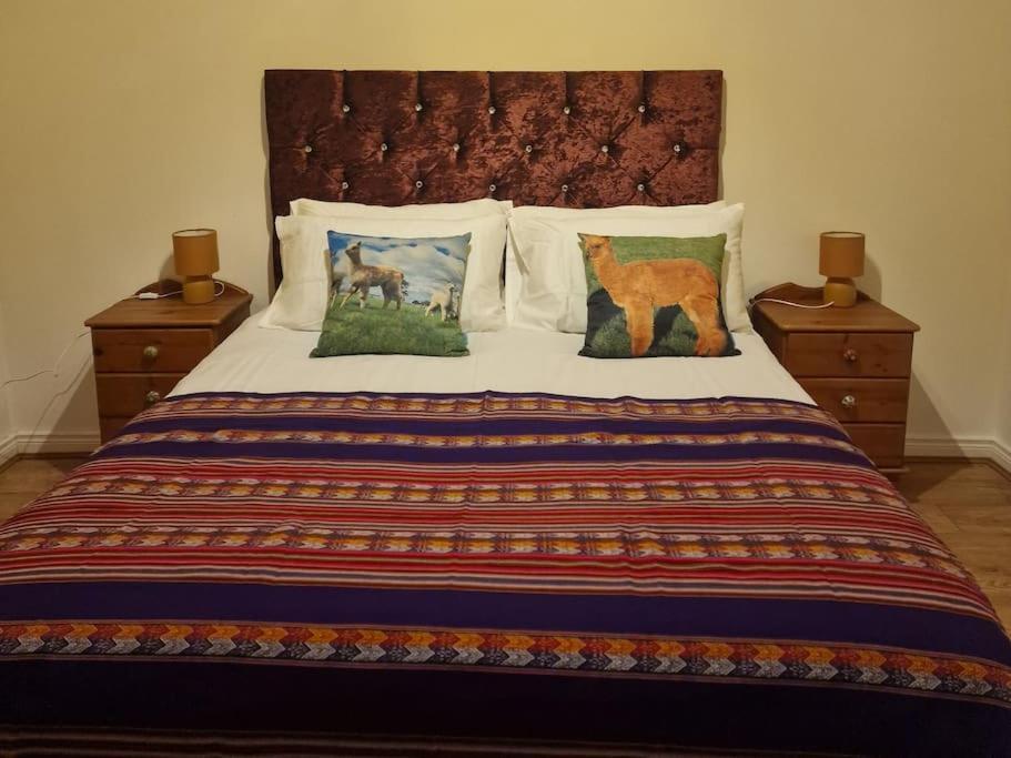 The Alpaca Farmhouse With Hot Tub And Alpaca Experience Included Dromara Екстериор снимка