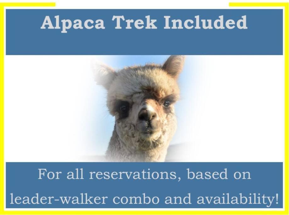 The Alpaca Farmhouse With Hot Tub And Alpaca Experience Included Dromara Екстериор снимка